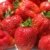 BALDUR-Garten Erdbeere 'Sweet Mary XXL®', 3 Pflanzen Fragaria - 