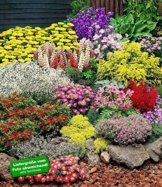 BALDUR-Garten Großer Staudengarten, Stauden-Sortiment, Staudenbeet 14 Pflanzen Schafgarbe gelb, Edelrittersporn, Witwenblume, Gartenlupine, Frauenmantel, Schleierkraut, Kissenaster, Freilandgloxinie, Prachtspiere, Fingerkraut, Mauerpfeffer, Roter Thymian u -
