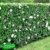 BALDUR-Garten Hibiskus-Hecke, 5 Pflanzen, Hibiscus Syriacus -