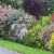 BALDUR-Garten Sommer-Hecken-Kollektion, Blütenhecke, Blühhecke 5 Pflanzen Caryopteris, Hypericum, Deutzia, Spirea und Weigelie - 
