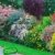 BALDUR-Garten Sommer-Hecken-Kollektion, Blütenhecke, Blühhecke 5 Pflanzen Caryopteris, Hypericum, Deutzia, Spirea und Weigelie -