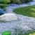 BALDUR-Garten Winterharter Bodendecker Isotoma 'Blue Foot', 3 Pflanzen -