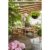 Dehner Gartenbank Samoa, 3-Sitzer, ca. 150 x 60 x 90 cm, FSC Akazienholz, natur - 