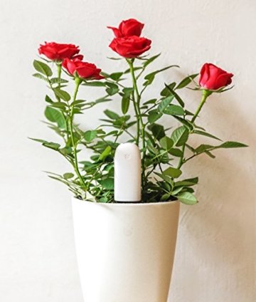 Flower Care - Smart Pflanzenmonitor. Echtzeit Sensoren für Bodenfruchtbarkeit, -feuchtigkeitsgrad, Licht und Temperatur. iOS und Android App. - 