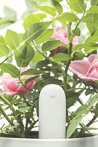 Flower Care - Smart Pflanzenmonitor. Echtzeit Sensoren für Bodenfruchtbarkeit, -feuchtigkeitsgrad, Licht und Temperatur. iOS und Android App. - 