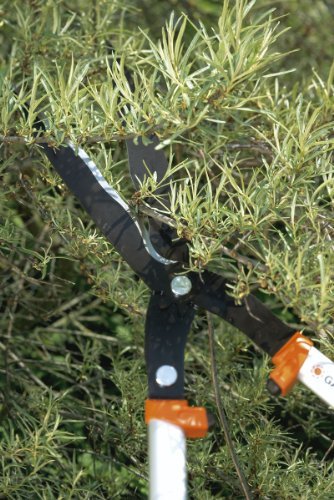 Gardena 395-20 Premium Getriebe-Heckenschere 650 - 