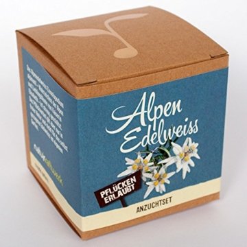 Geschenk-Anzuchtset Alpenedelweiss -