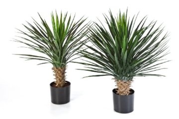 Künstliche Yucca Rostrata mit 176 Blättern, DELUXE, 80 cm - Kunstbusch / Yucca Kunstpflanze - artplants - 