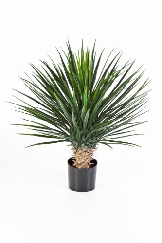 Künstliche Yucca Rostrata mit 176 Blättern, DELUXE, 80 cm - Kunstbusch / Yucca Kunstpflanze - artplants -