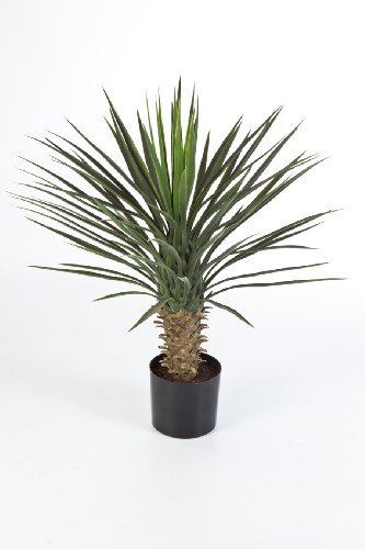 Künstliche Yucca Rostrata mit 90 Blättern, DELUXE, 80 cm - Kunstbusch / Yucca Kunstpflanze - artplants -