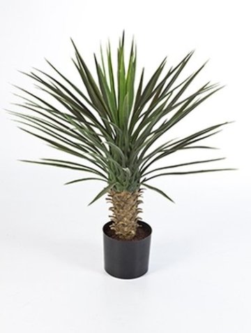 Yucca Palme 75 cm, Kunstpflanze hochwertig, Yucca rostrata Deko-Pflanze wie echt -