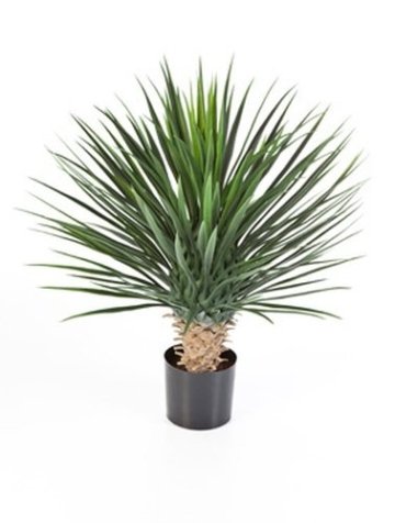 Yucca Palme 80 cm, große Kunstpflanze hochwertig, Yucca rostrata Deko-Pflanze wie echt -