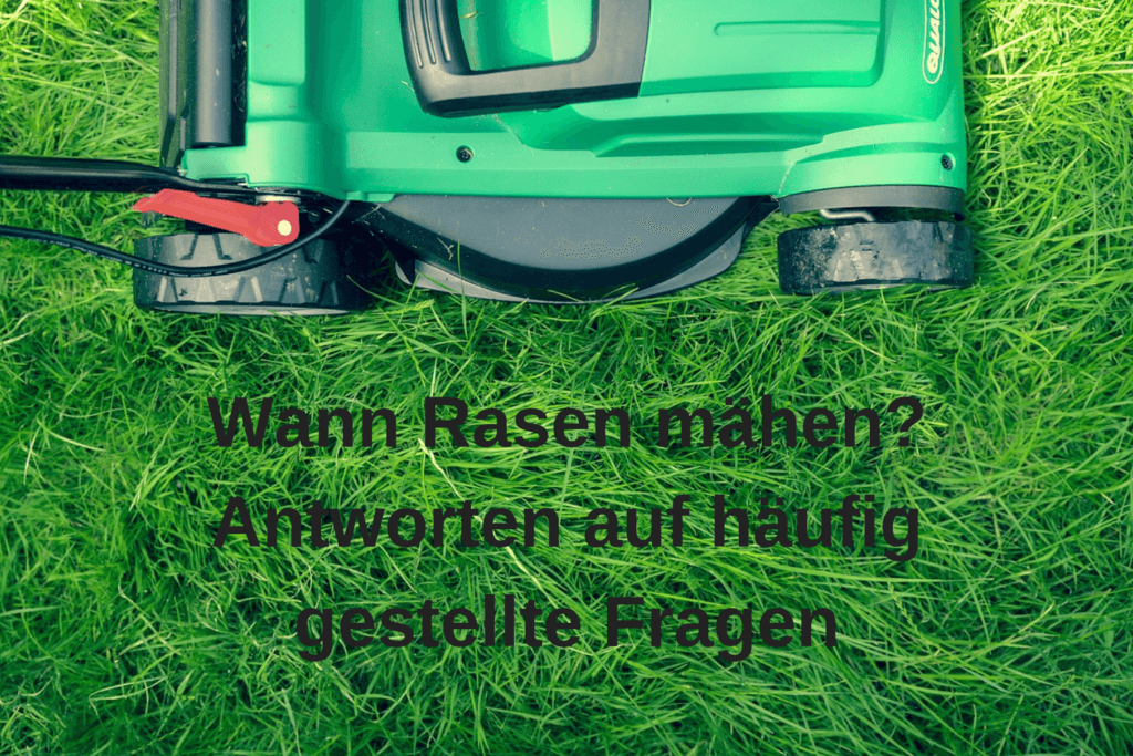 Wann Rasenmähen nach Winter Frühjahr Saat erlaubt