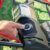 Scheppach Benzin Rasenmäher MS225-53E mit E-Start | Radantrieb | 7PS | 53 cm Schnittbreite | 7-fache Schnitthöhenverstellung | 65 Liter Fangkorb | Reinigungsfunktion | Mulchfunktion | Seitenauswurf - 6
